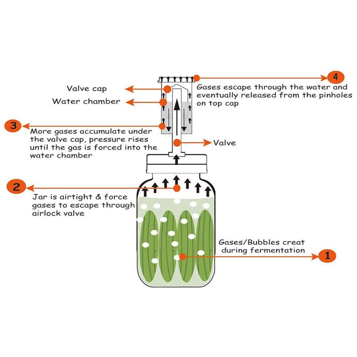 4 قطع غطاء تخمير ومانع تسرب هو - مراجعة Wine Beer Cider وسعره